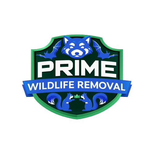 Wildlife Removal Mason County